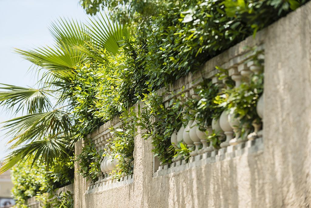 Les Jardins De La Mer Grimaud Exteriör bild